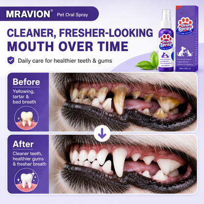 No-Brushing Pet Oral  Spray for Dogs & Cats🐾