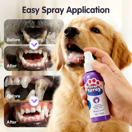 Stop Your Pet’s Bad Breath in 7 Days - Teeth Cleaning Spray for Pets