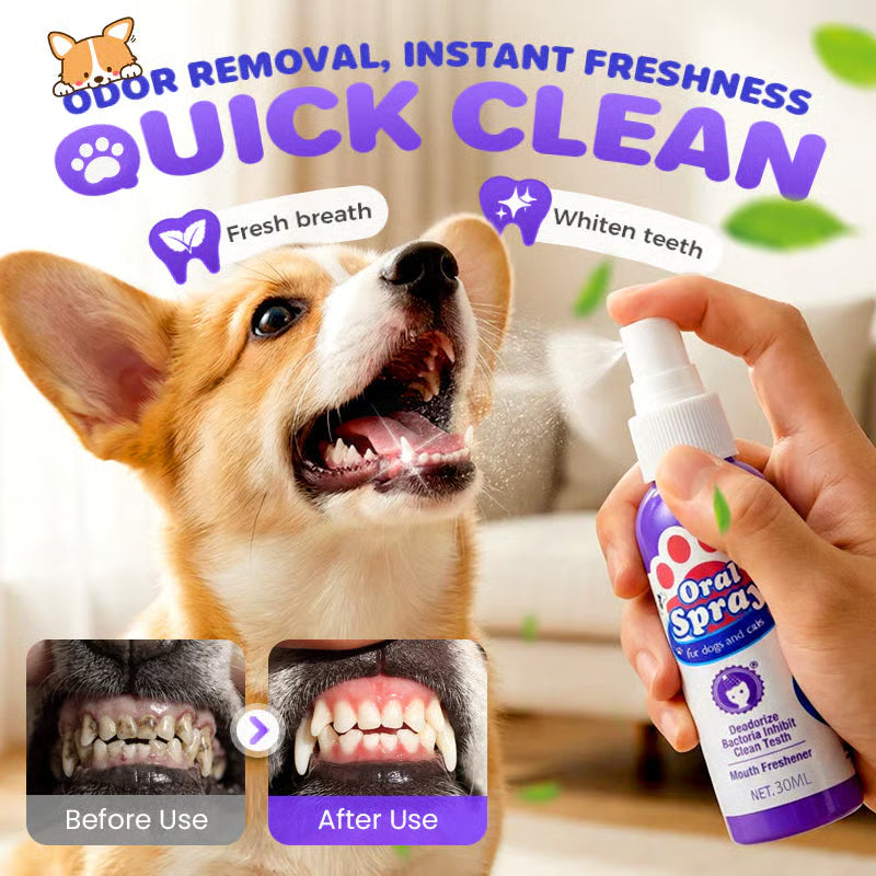 Stop Your Pet’s Bad Breath in 7 Days - Teeth Cleaning Spray for Pets