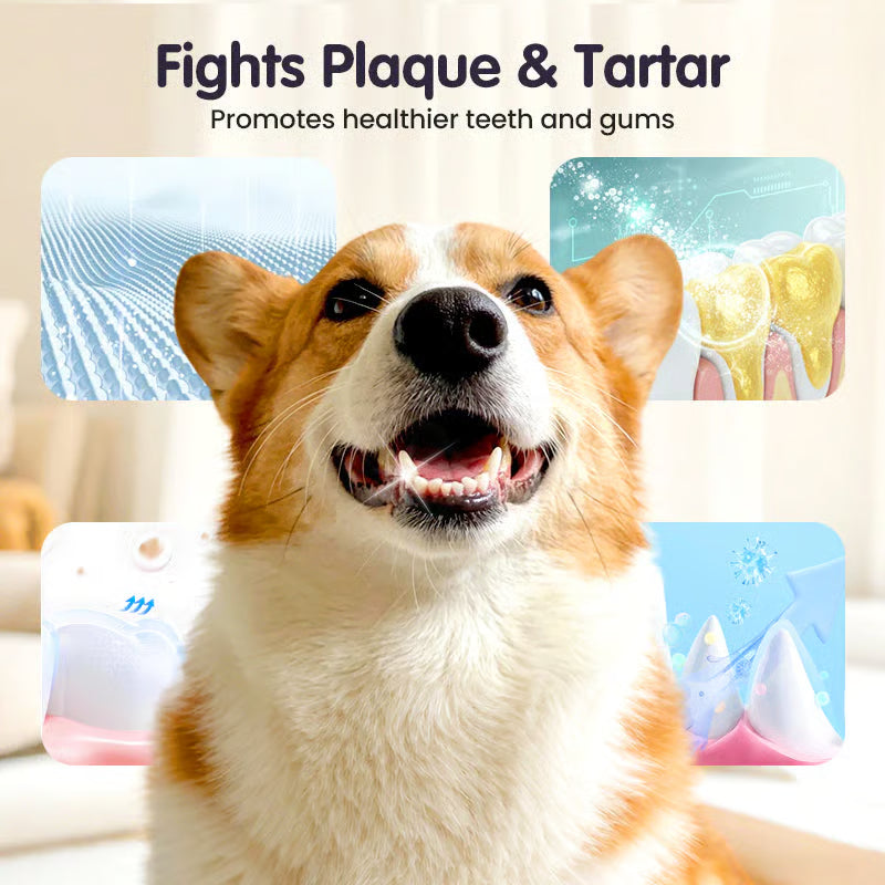 Stop Your Pet’s Bad Breath in 7 Days - Teeth Cleaning Spray for Pets