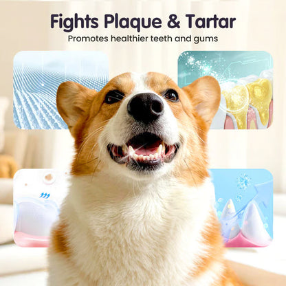 Stop Your Pet’s Bad Breath in 7 Days - Teeth Cleaning Spray for Pets
